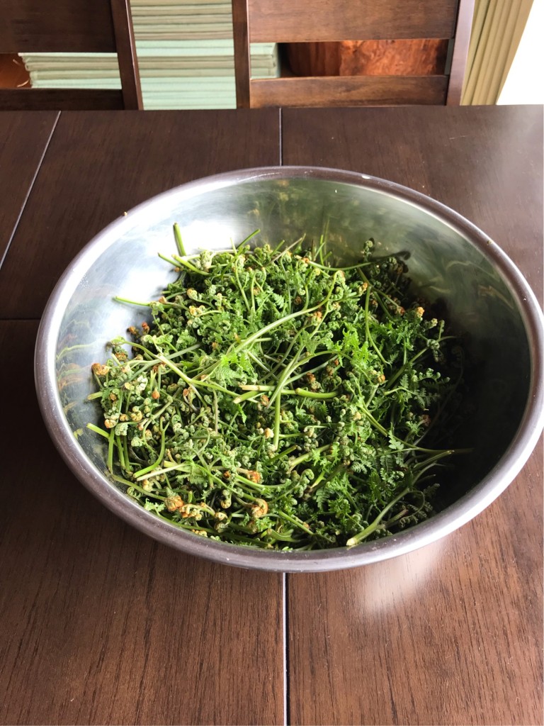 44B369CC-68F5-4F6B-963E-8AD83452908F