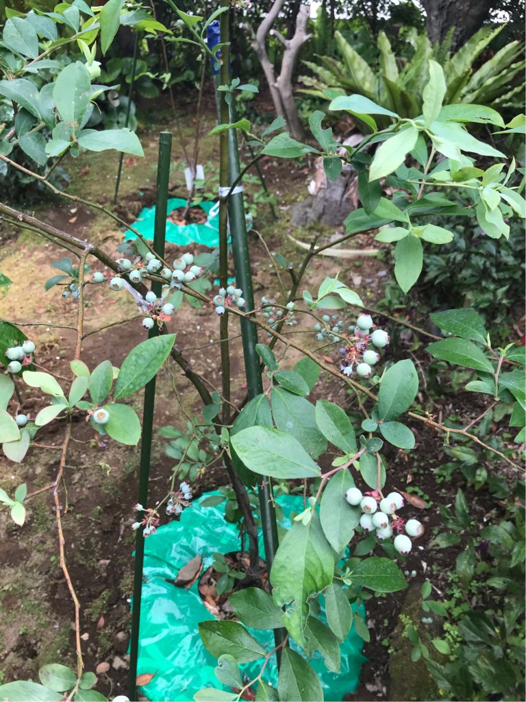 AD4FE097-74F1-4D3D-A7E5-BF7F73ABA872