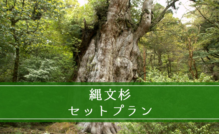 縄文杉セットプラン