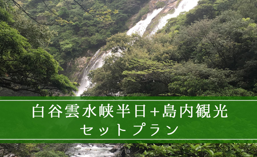 白谷雲水峡半日+島内観光セットプラン